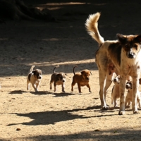 Когда мама рядом