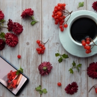 Осенняя мелодия