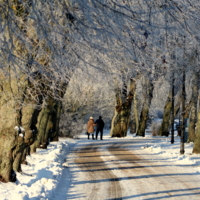 Супружеская пара в парке.