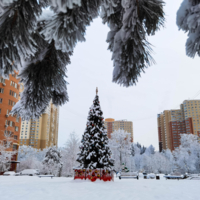 Украшенный снегом двор