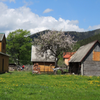 Весна в Карпатах