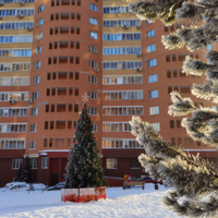 Наш предновогодний двор