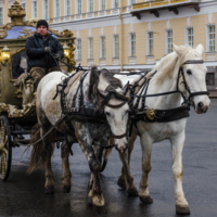 Дворцовые катания