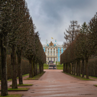 Аллея Екатерининского парка