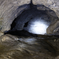 Где-то в пещерах Алтая