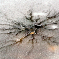 Трещины на льду от брошенного камня.