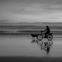 Человек на велосипеде и собака