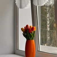 Оранжевое настроение)