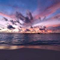 Этюд в багровых тонах