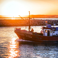 Жаркий закат