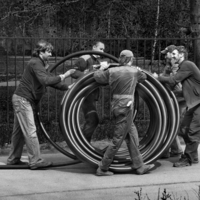 Весело и дружно!