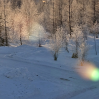 Не линяет только солнечный зайчик