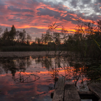 Багряный закат