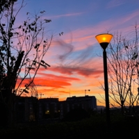 Мечты фонаря