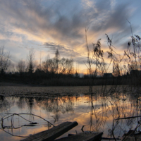 Закат на заросшем пруду