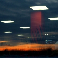 Пальмы на закате.