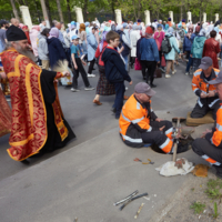 Без названия