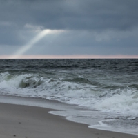 Без названия