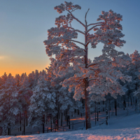 На закате дня