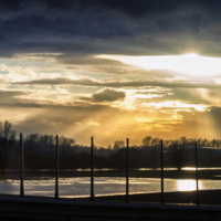 Птицы в вечерних лучах