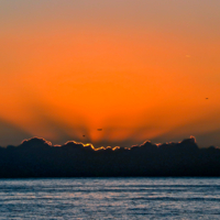 Купание в лучах солнца