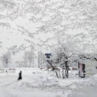 Про снег с дождём