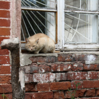 На фоне лучей