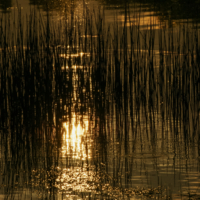 На границе дня и ночи...