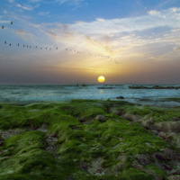 Настала пора возвращаться домой