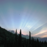 Последние ...