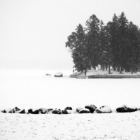 Снежная пелена