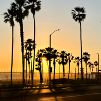 В лучах закатного