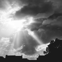 Сквозь шторм