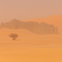 Стон пустыни