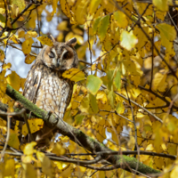 Погасите свет!