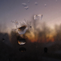 Цыплёнок, или увиденное на закате