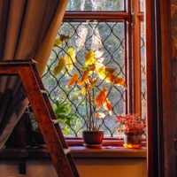 Последний солнца луч златой...