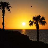 Графика заката