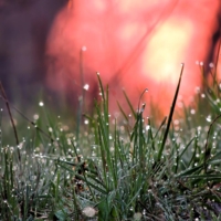 Весеннее утро