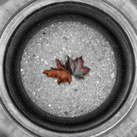 Осень в большом городе