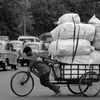 накопить на лошадь