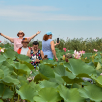 Встреча с прекрасным