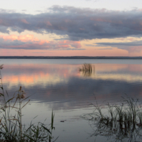 Розовый вечер