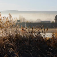 Без названия