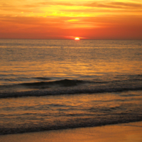 Завтра вернусь