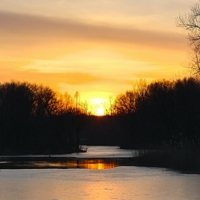 По тонкому льду