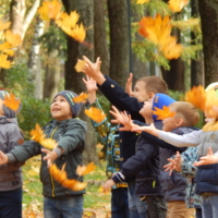 Постановочный листопад