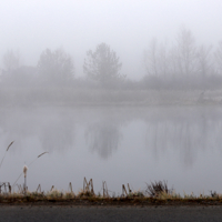 По мотивам Рейн II