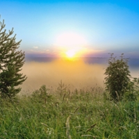 Не тревожь суетой это нежное утро!