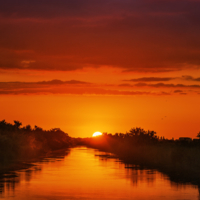 Однажды вечером